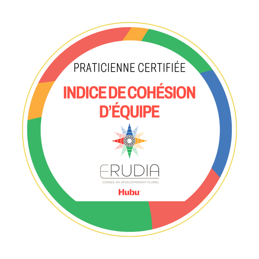 Certification ICE indice de cohésion d'équipe Hubu Erudia Isabelle BOULZE