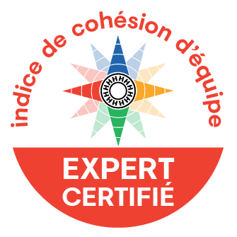 Certification ICE indice de cohésion d'équipe Hubu Erudia Isabelle BOULZE